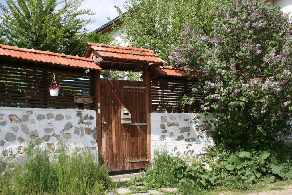 Guest House Kamenik Iagodina Exterior foto