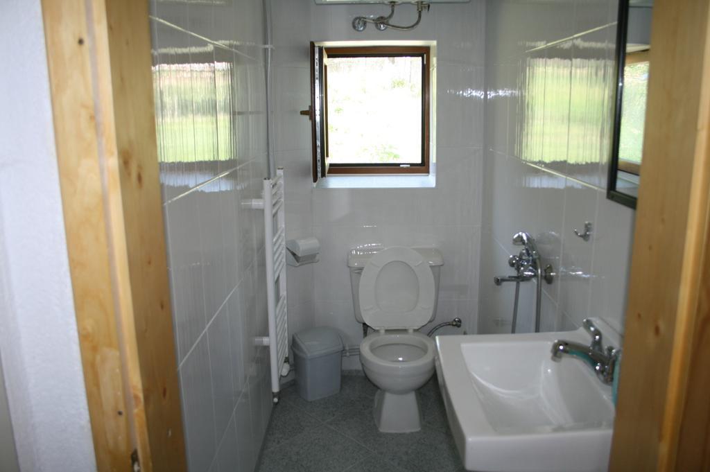 Guest House Kamenik Iagodina Cameră foto