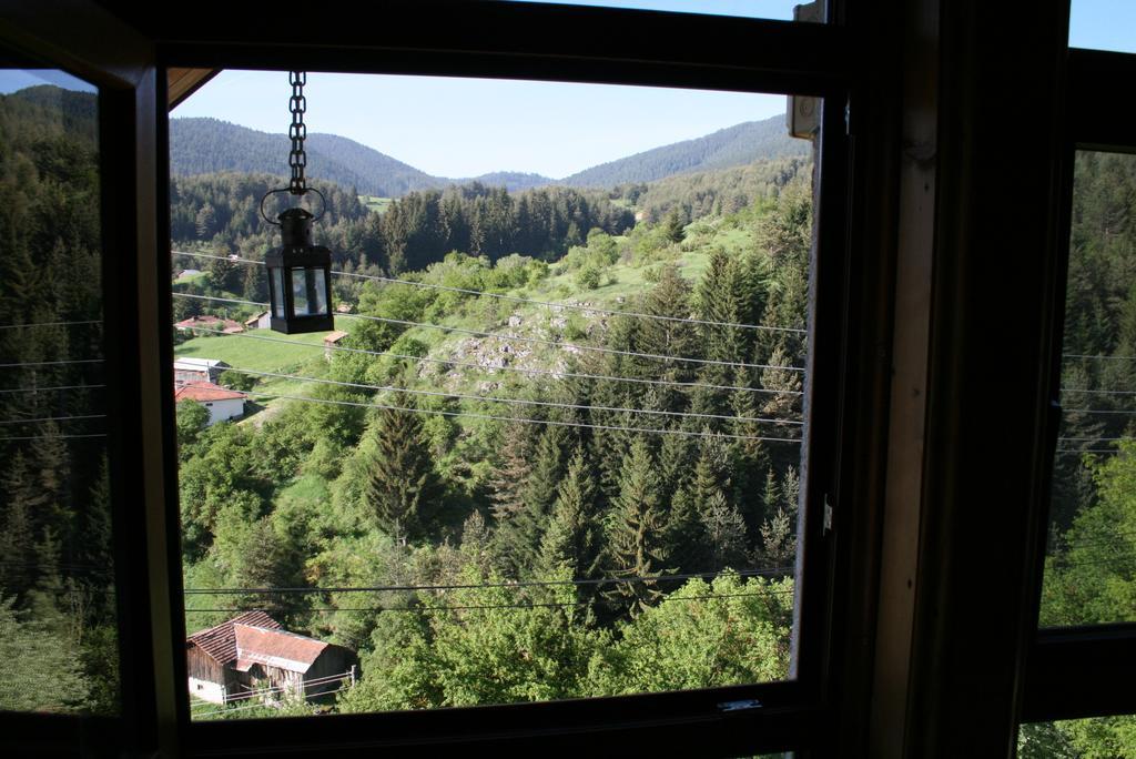 Guest House Kamenik Iagodina Cameră foto