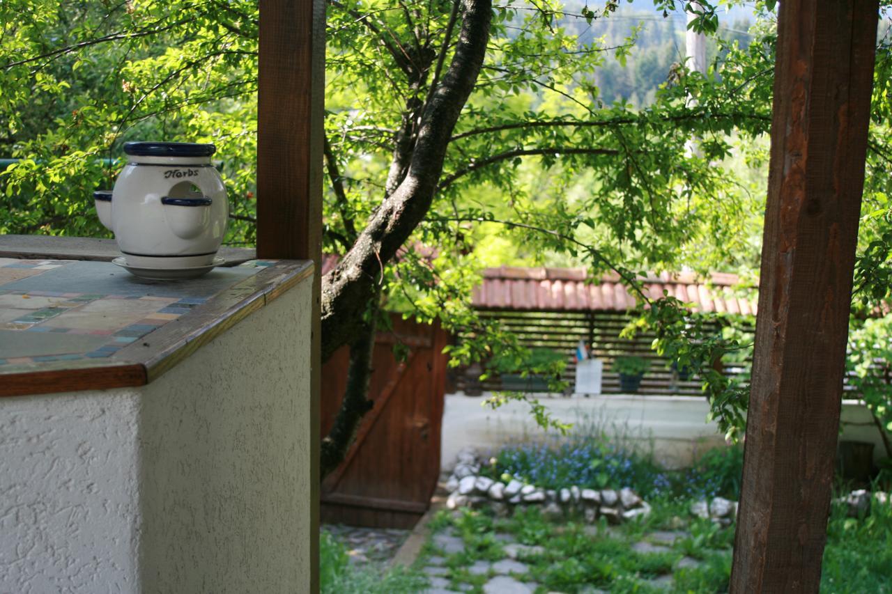 Guest House Kamenik Iagodina Exterior foto