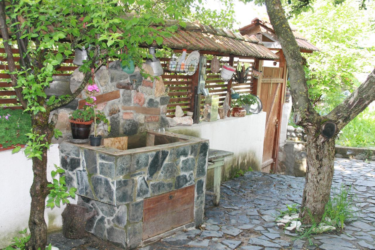 Guest House Kamenik Iagodina Exterior foto